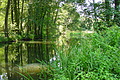 DSC01580 - Bernhard Saalfeld