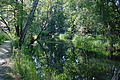 DSC01589 - Bernhard Saalfeld
