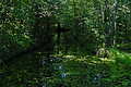 DSC01590 - Bernhard Saalfeld