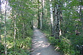 DSC01591 - Bernhard Saalfeld