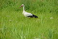 DSC01604 - Bernhard Saalfeld