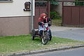 DSC01619 - Bernhard Saalfeld