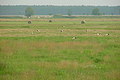 DSC01629 - Bernhard Saalfeld