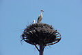DSC01632 - Bernhard Saalfeld
