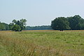 DSC01633 - Bernhard Saalfeld