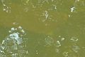 DSC01635 - Bernhard Saalfeld