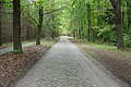 DSC01661 - Bernhard Saalfeld