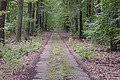 DSC01666 - Bernhard Saalfeld