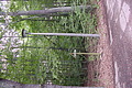 DSC01668 - Bernhard Saalfeld