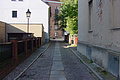 DSC01672 - Bernhard Saalfeld