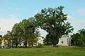 DSC01677 - Bernhard Saalfeld