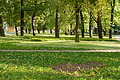 DSC01679 - Bernhard Saalfeld