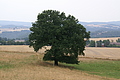 PICT2596 - Bernhard Saalfeld