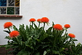PICT2766 - Bernhard Saalfeld