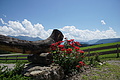 DSC07544 - Bernhard Saalfeld