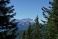 DSC07594 - Bernhard Saalfeld