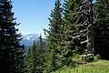 DSC07596 - Bernhard Saalfeld