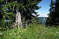 DSC07597 - Bernhard Saalfeld