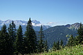 DSC07600 - Bernhard Saalfeld