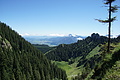 DSC07605 - Bernhard Saalfeld