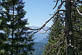 DSC07607 - Bernhard Saalfeld