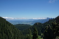 DSC07608 - Bernhard Saalfeld