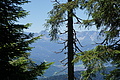 DSC07611 - Bernhard Saalfeld