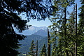 DSC07613 - Bernhard Saalfeld