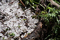 DSC07616 - Bernhard Saalfeld
