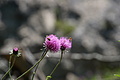 DSC07619 - Bernhard Saalfeld