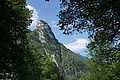 DSC07643 - Bernhard Saalfeld