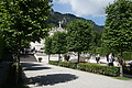 DSC07701 - Bernhard Saalfeld