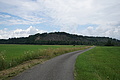 DSC07705 - Bernhard Saalfeld