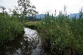 DSC07706 - Bernhard Saalfeld