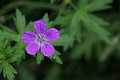 DSC07707 - Bernhard Saalfeld