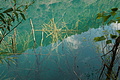 DSC07712 - Bernhard Saalfeld