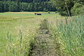 DSC07714 - Bernhard Saalfeld