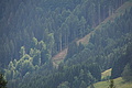 DSC07739 - Bernhard Saalfeld