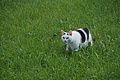 DSC07740 - Bernhard Saalfeld