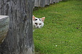 DSC07741 - Bernhard Saalfeld