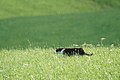 DSC07747 - Bernhard Saalfeld