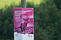 DSC07748 - Bernhard Saalfeld