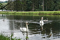 DSC07770 - Bernhard Saalfeld
