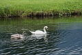 DSC07775 - Bernhard Saalfeld