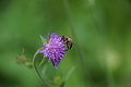 DSC07786 - Bernhard Saalfeld