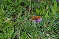 DSC07790 - Bernhard Saalfeld