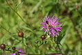 DSC07793 - Bernhard Saalfeld