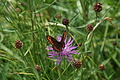 DSC07801 - Bernhard Saalfeld