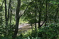 DSC07811 - Bernhard Saalfeld