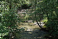 DSC07814 - Bernhard Saalfeld